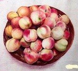 by Xiao zhuhua