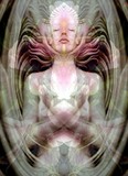 by TOMMY  BEAVER