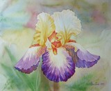 by Natalia Piacheva