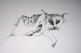 by ineke smienk