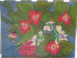 by Vanita Earnest