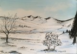 by jill madgwick