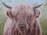 by Tracey Wood