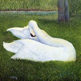 by alicia maury