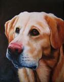 by Suzanne Barrett  Justis