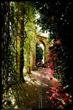 by Andrew S