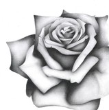 by maria  
