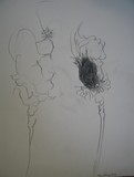 by Anna  Girgis