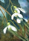 by Joan A Hamilton