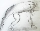 by Olga Wildman