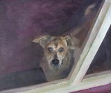 by Kathy Schoeppner