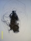 by Erica Neradt