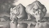 by TUSHAR BOSE