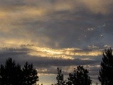 by Debra Kott