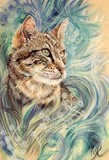 by tracy rice