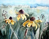 by Sharla Derry