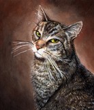 by Rachael Brossart