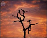by International Photo Exhibition