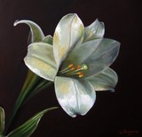 by iergucz gheorghe