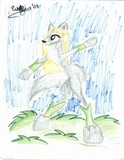 by Wolfy N