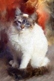 by Vicki Pelham