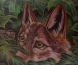 by Kimberlee Edgar