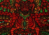 by samuel bohorquez