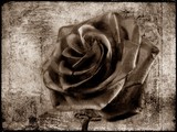by David Dehner