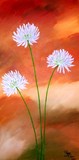 by Peggy Garr