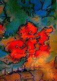 by Snook Berry