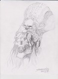 by wiltis white