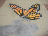 by Arianna Evans