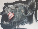 by Karlina Bacchus