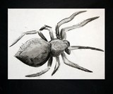 by Danielle Haynos