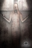 by seth rose