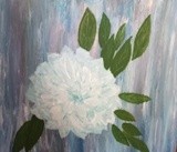 by Barb Schindel