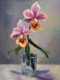 by Mihaela B