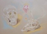 by Andrea Perantoni