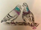 by Ariella Belau