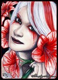 by Rebecca Sinz