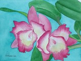 by Nancy Woolweber