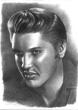 by David Vanderpool