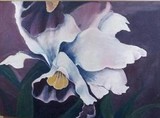 by Eileen Kasprick