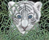by Debbie Gray