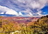 by Randy McCullough