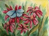 by Rhonda Shereck