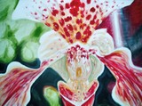 by Eryn Tison