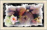 by maureen older