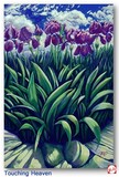 by Rebecca Grantham