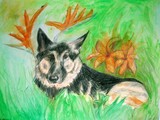 by Alison Skillin